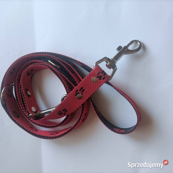 Smycz składak 25mm250 psa Gorzów Wielkopolski