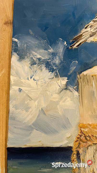 Mewa na krawędzi morskiego wiatru obraz olejny lubuskie Zielona Góra