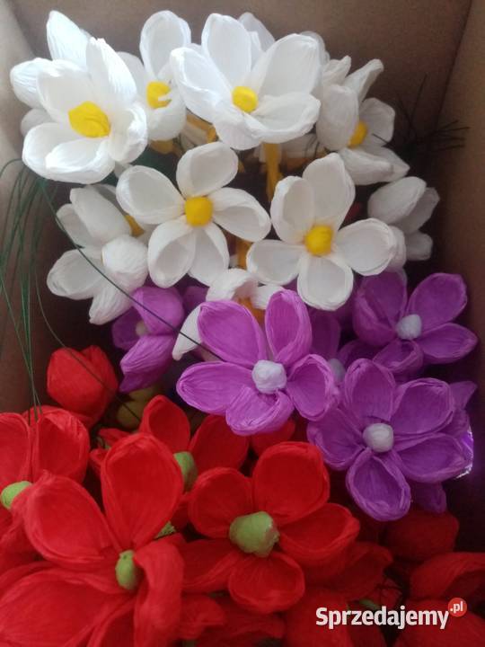 Kwiaty do dużej Palmy Pokrzywnica