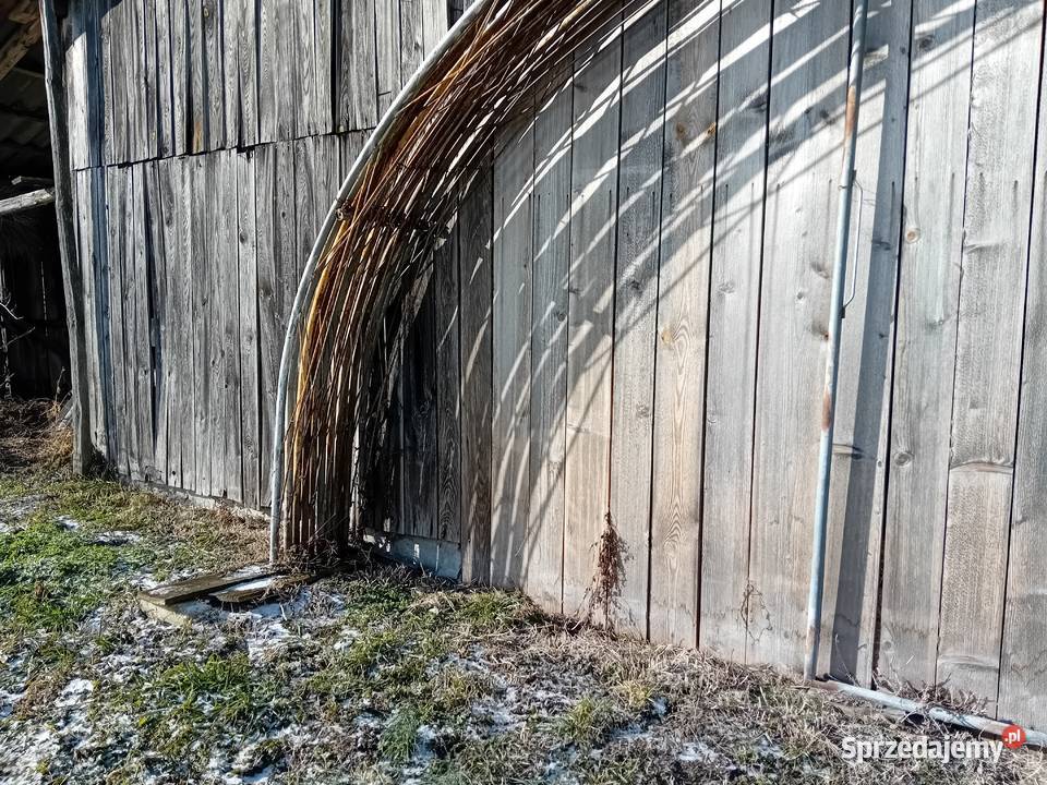 Tunel foliowy Wodzisław