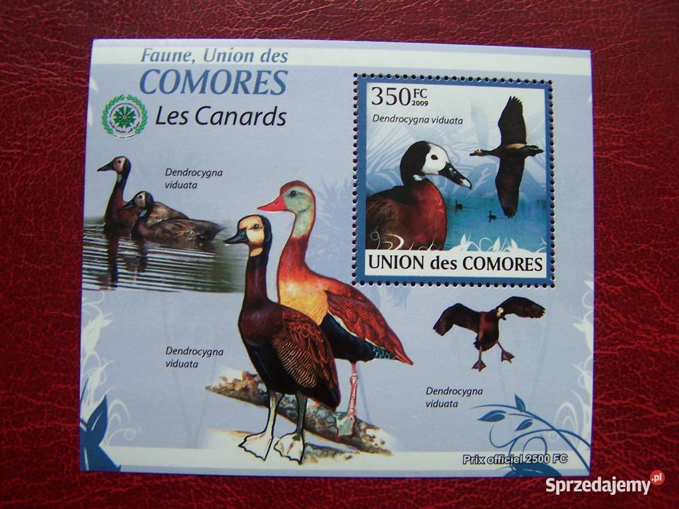 Komory 2009 MNH Fauna Ptaki Kaczki Tychy
