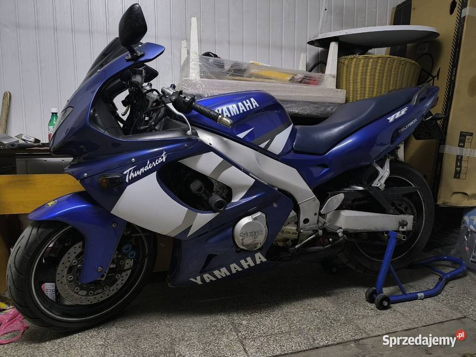 Yamaha Thundercat Kraków