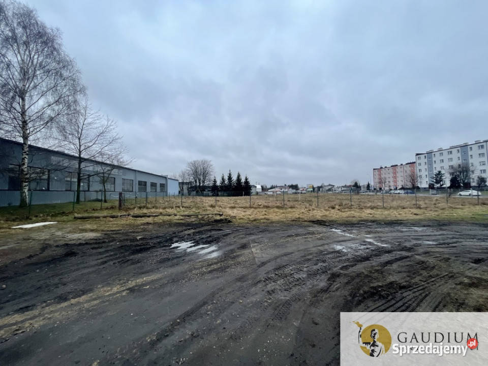 Działka na wynajem w centrum Starogardu asfalt Starogard Gdański