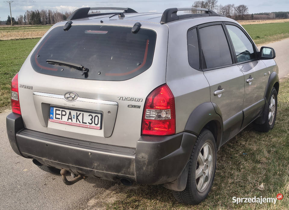 Hyundai Tucson 2004 4WD 20 CRDi Stan Bogate manualna