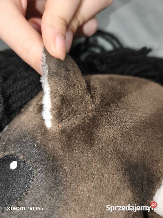 Hobby horse Podegrodzie