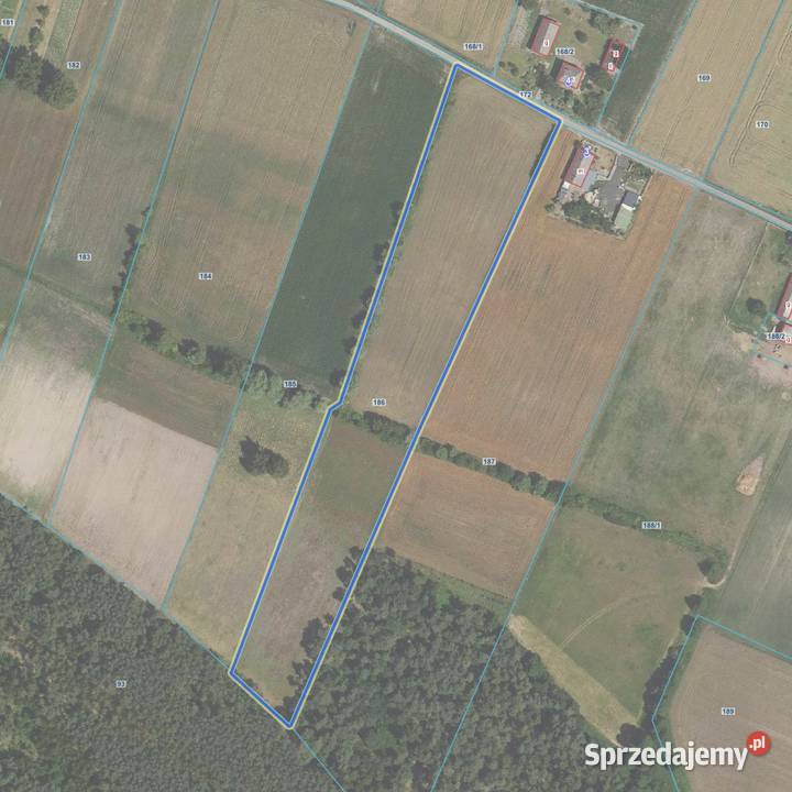 Nieruchomość zabudowana z 3 stawami i gruntem Szczawin Borowy-Wieś