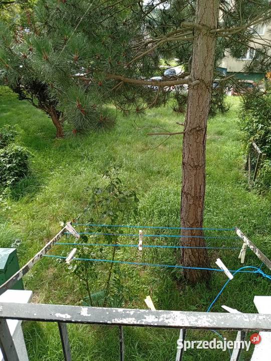 Kawalerka30m2 SopotBrodwino z ogródkiem Sopot