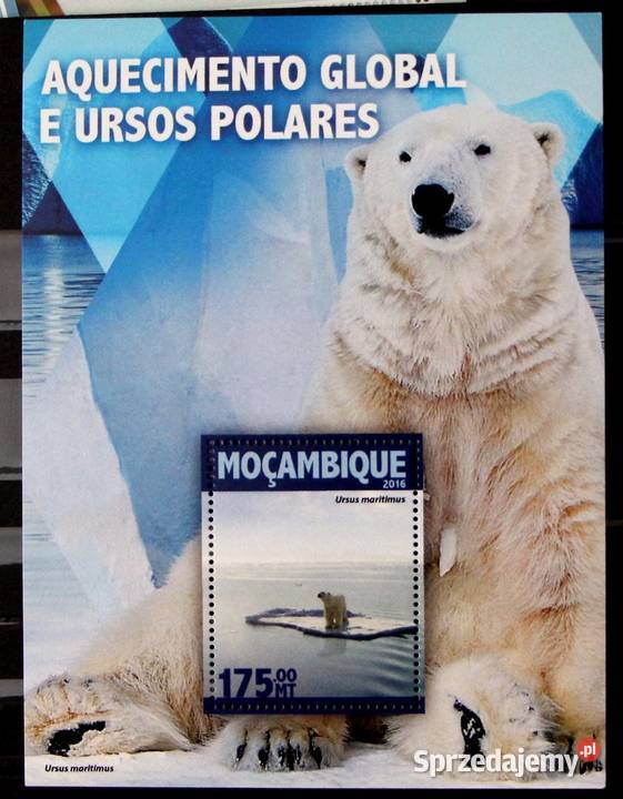 Mozambik ocieplenie klimatu wielkopolskie Oborniki