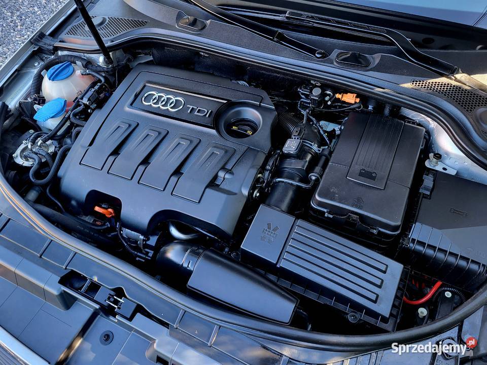 Audi A3 Lift CLIMATRONIC Xenon Alu Podgrzewane