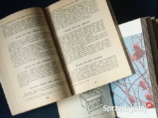 Kuchnia i medycyna Gumowska Aleksandrowicz Łódź