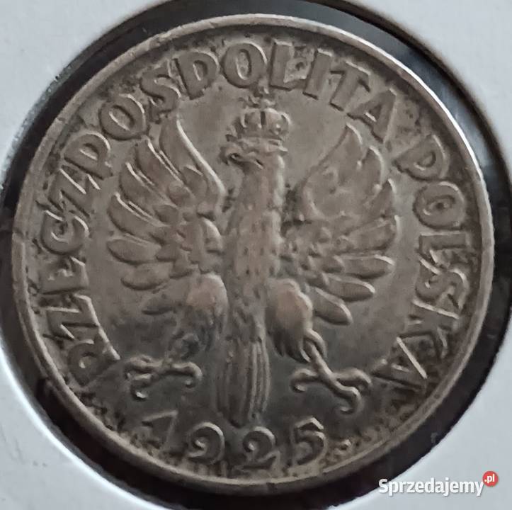 1 Złoty Żniwiarka 1925 r z kropkąmennica Konin