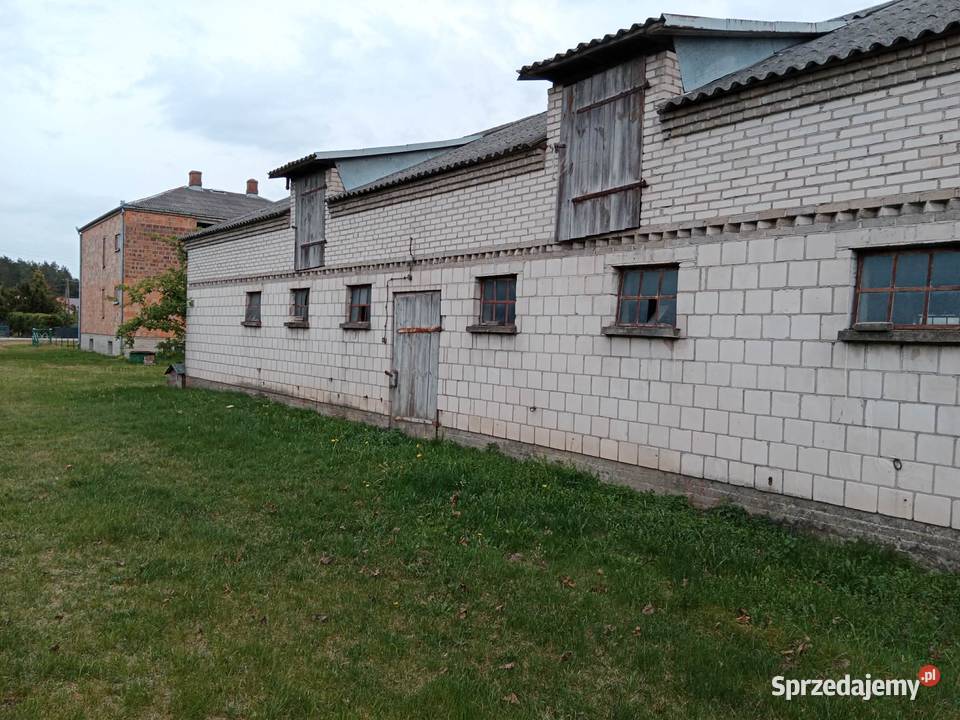 Gospodarstwo rolne na sprzedaz 11zł/m2 Wygnanka