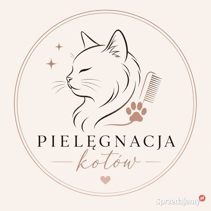 Pielęgnacja kotów ŁÓDŹ