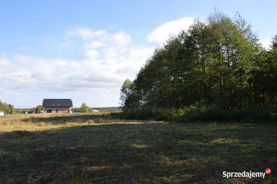 Duża działka Baranówka 21 a polna Sprzedaż
