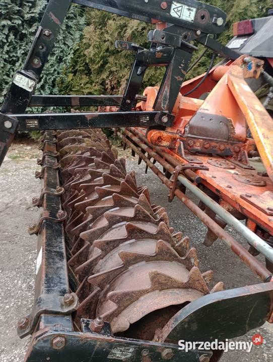 Brona Wirowa EMY Maschio 3m Jabłonna Druga