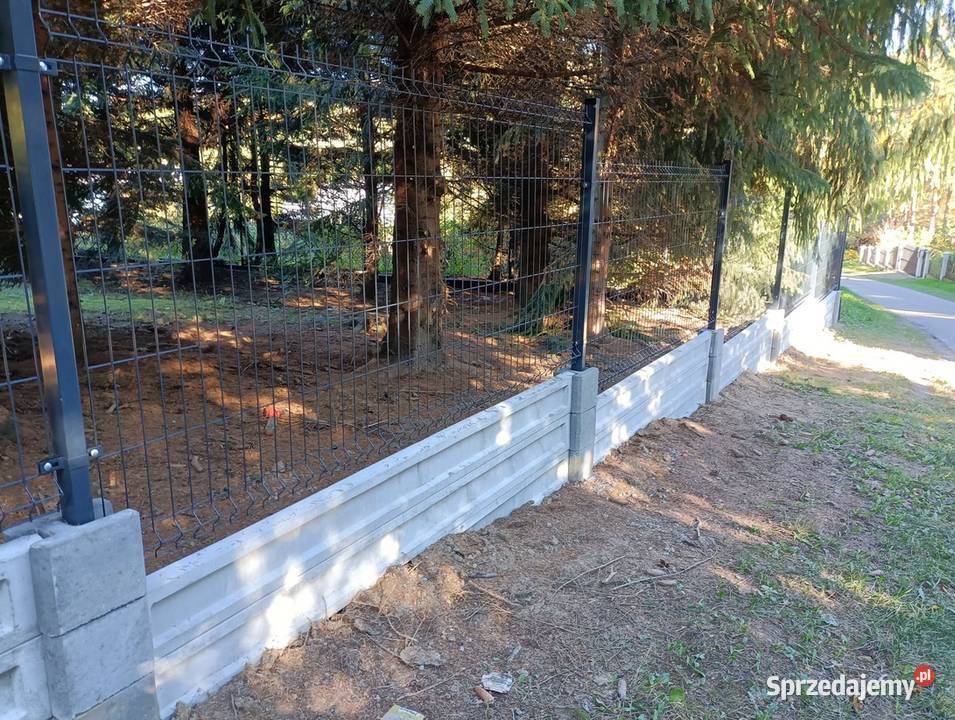 Podmurówka 250x20x5 pełna gładka Elementy betonowe Gorlice