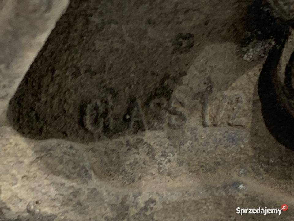 REDUKTOR DO GAZU LPG PAROWNIK LPG GAZOWY UKŁADU