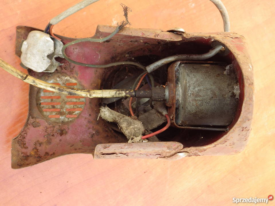 komar sztywniak części Września