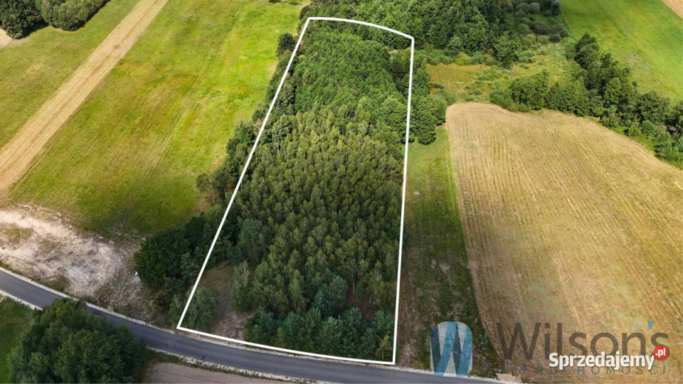 sprzedaży gruntu Sokołowo Włościańskie 7100m2 asfalt Sprzedaż