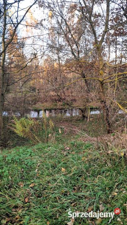 Sprzedam działkę budowlaną z dostępem do rzeki w 2300m2 Nowe Mostki