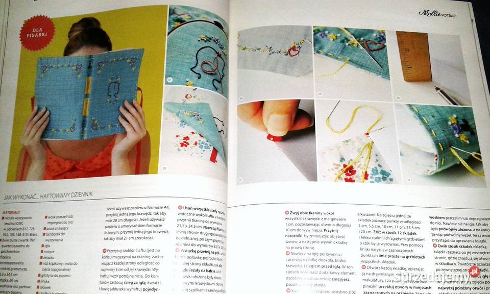 Mollie potrafi 3 9 2015 Chełm