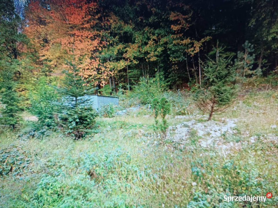 Działka udowlana w zagórniku małopolskie