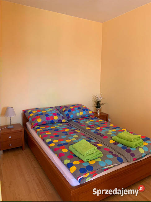 Duża kawalerka na wynajem 44m2 Szczecin