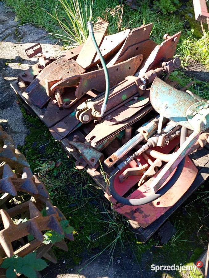 Talerzówka Lilla harri