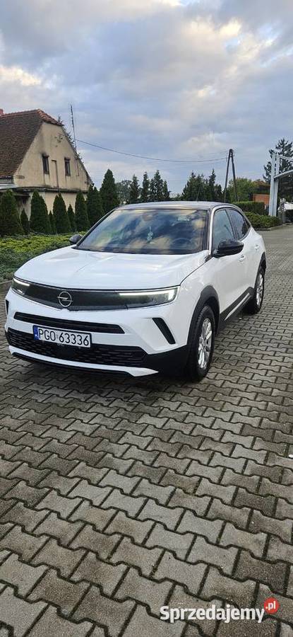 Opel mokka wielkopolskie
