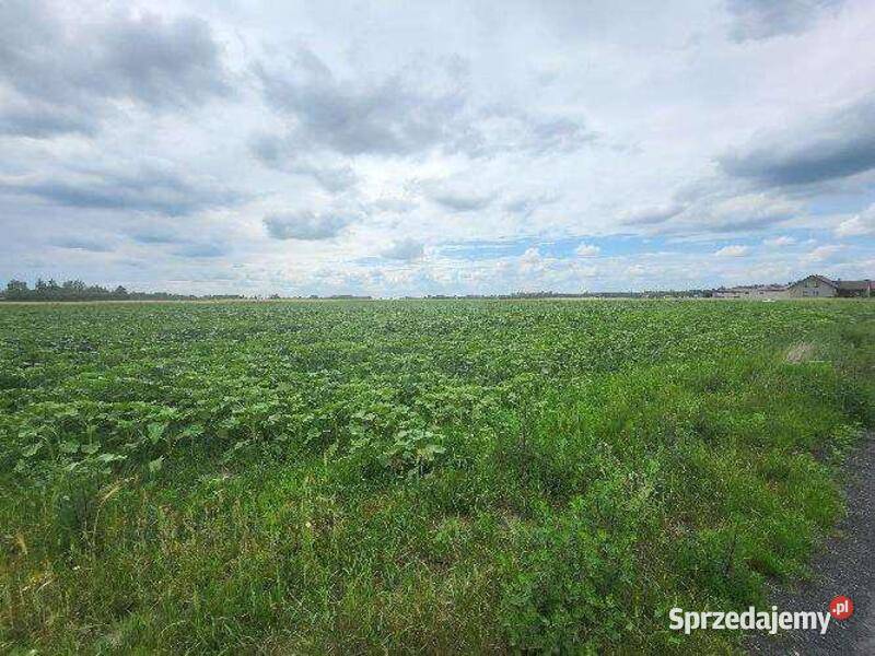 Niezabudowana nieruchomość rolna łączna pow mazowieckie Dziadkowskie-Folwark