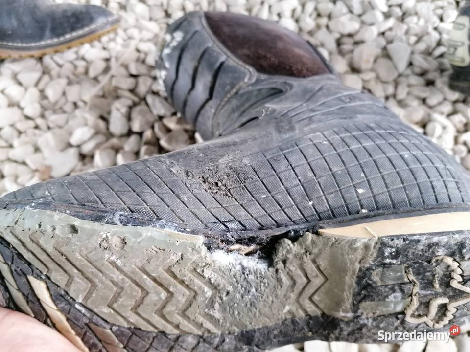Buty cross Fox obuwie Tuchów sprzedam