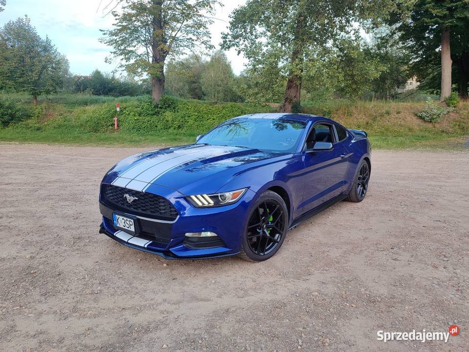 Ford Mustang zadbany 144500km Kalwaria Zebrzydowska