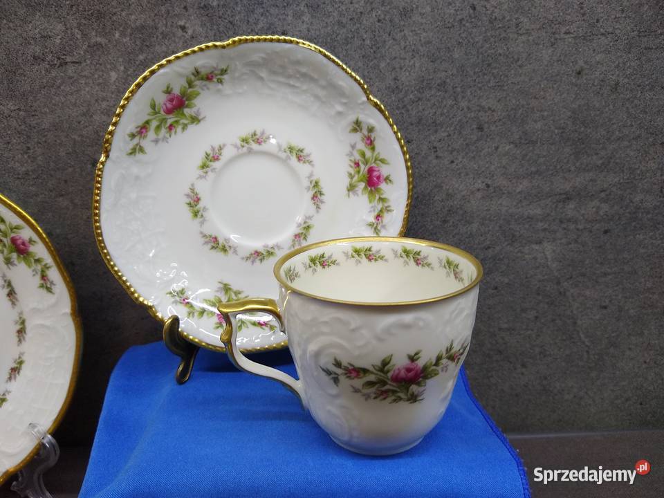 Rosenthal Sanssouci Moosrose zestaw kawowy wielkopolskie Kalisz