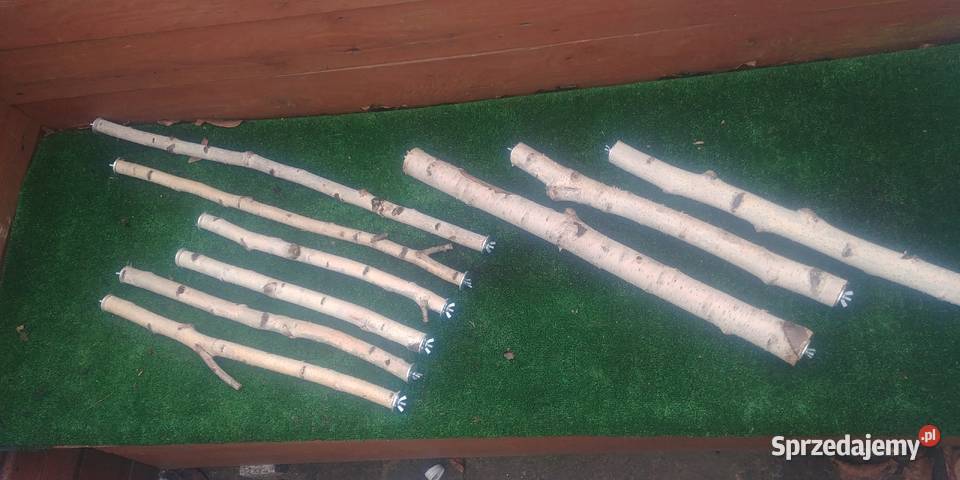 Żerdzie brzozowe z mocowaniami papug Dla ptaków Ruda Śląska