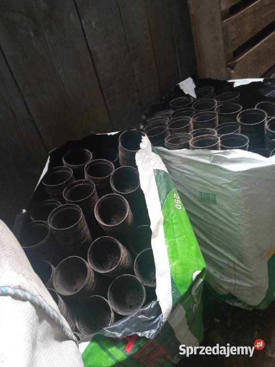 Doniczki na rozsadę sadzonki kwiatki Doniczki do rozsad małopolskie Wawrzeńczyce