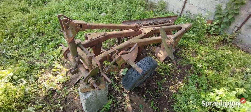 Pług 3 skibowy kolczatka Rabinowo