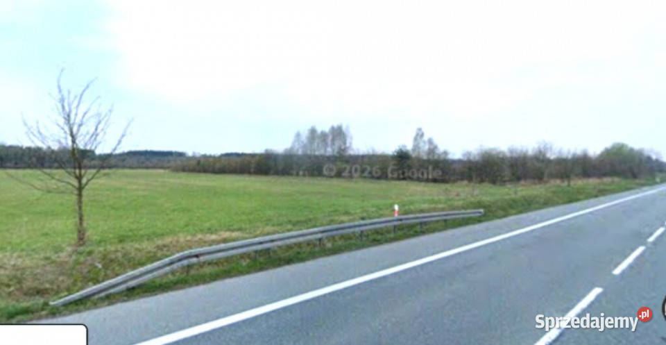 sprzedaż działka inwestycyjna 7899m2 Grodziec Sprzedaż sprzedam
