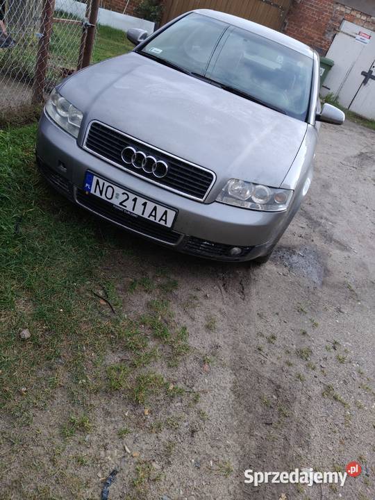 Sprzedam audi Susz