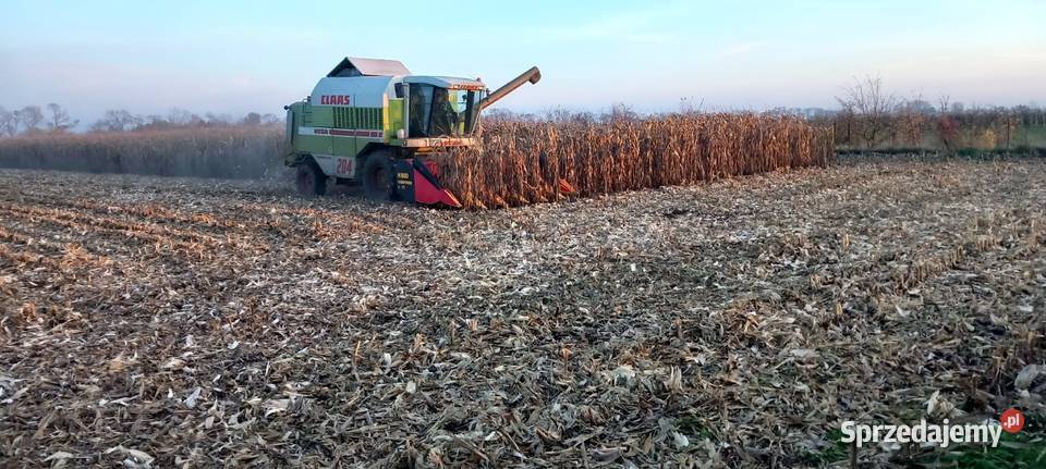 BISO Cornpower 675 2010r