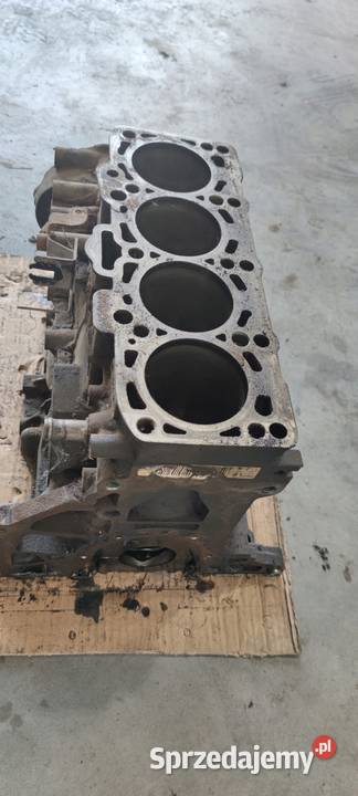 BLOK SILNIKA AUDI A4 B7 A6 C6 20 TDI BLB 03G021A Blok silnika Przystajń