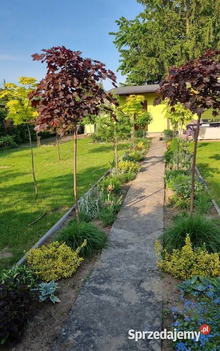 Działka rekreacyjna ROD Chełmno sprzedam