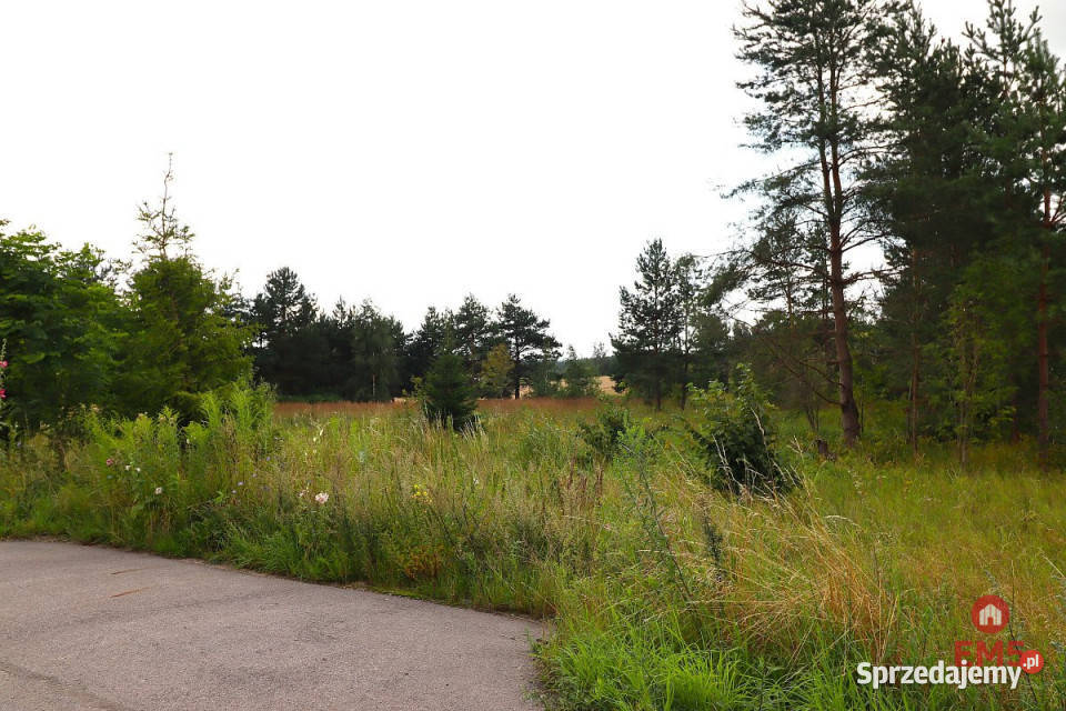 Sprzedaż gruntu Suwałki 3758m2