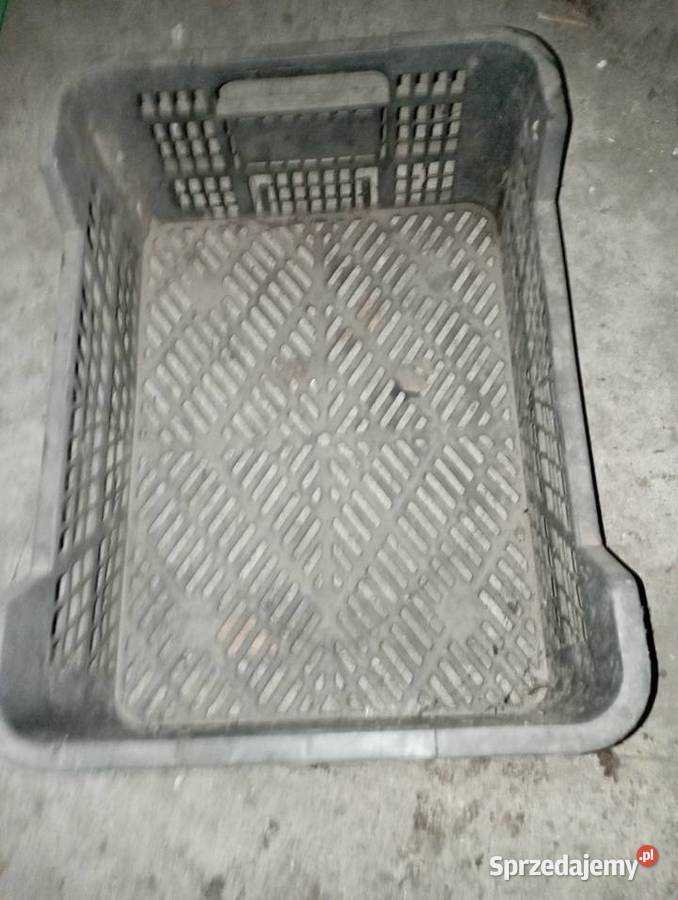 Sprzedam skrzynki do ziemniaków kiełkowanych Gutów