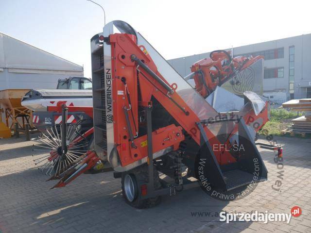 Kombajn do zbioru warzyw Weringen RVS1 Z8151 Magnice