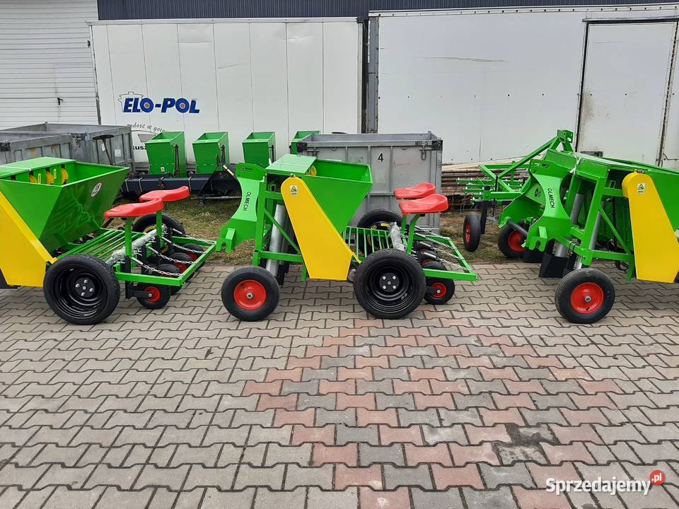 Sadzarka automatyczna do czosnku bobu dymki nieuszkodzony Pałecznica