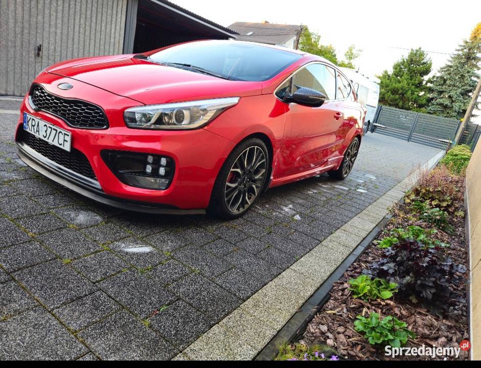 Kia Proceed GT 2014 Cee'd GT sprzedam