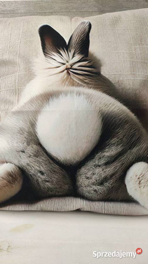 Poszewka na poduszkę Łódź