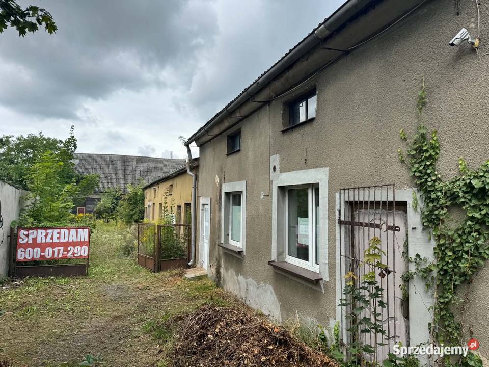 Wynajmę 8 pomieszczeń 20200m2