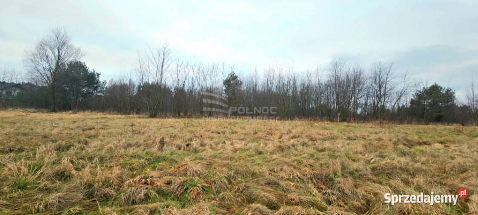 Działka budowlana jeziorem Białym na sprzedaż lubelskie Okuninka