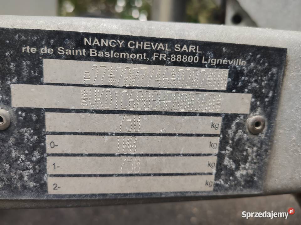 Przyczepa cargo kompozytowa hi end Kraków